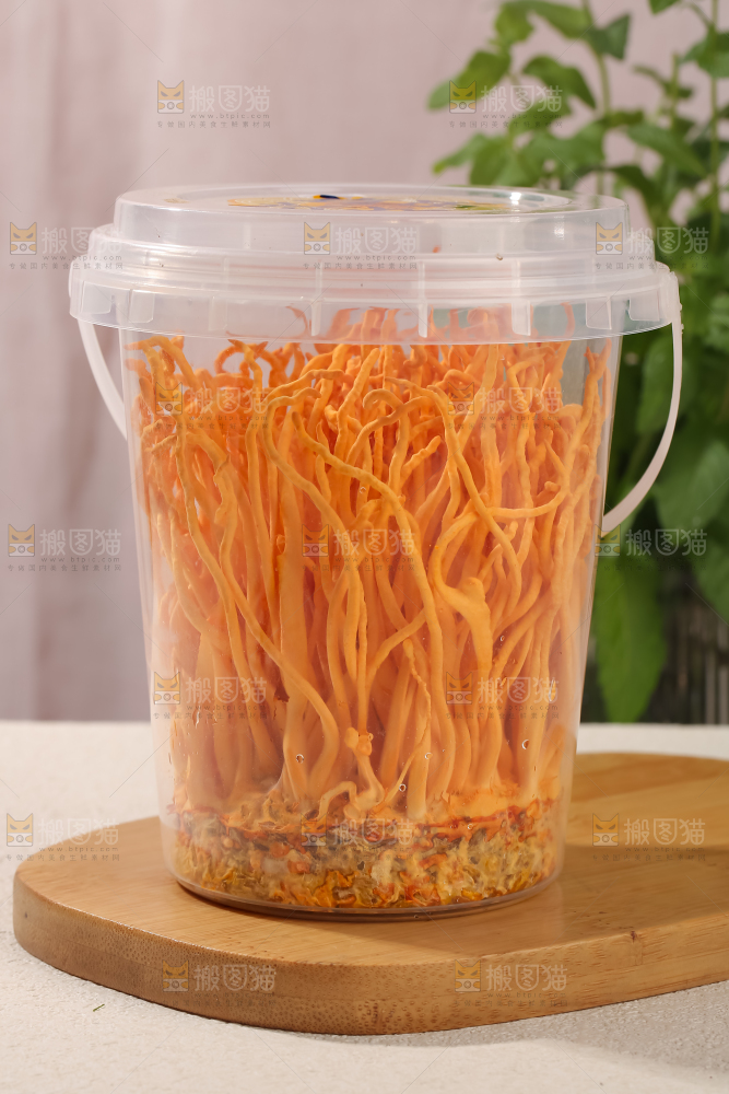 虫草花