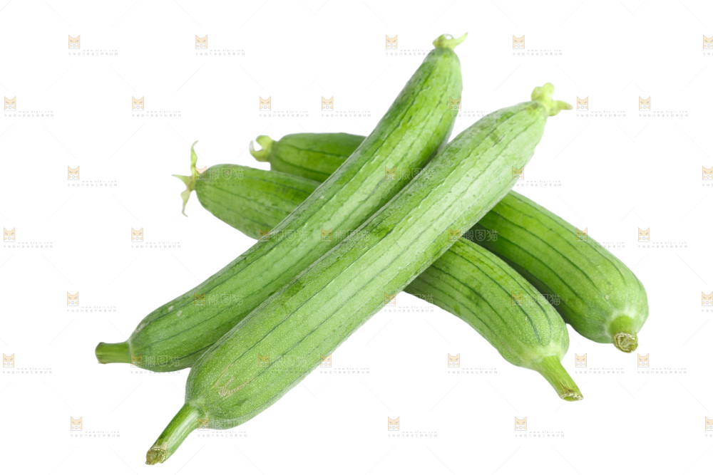 丝瓜
