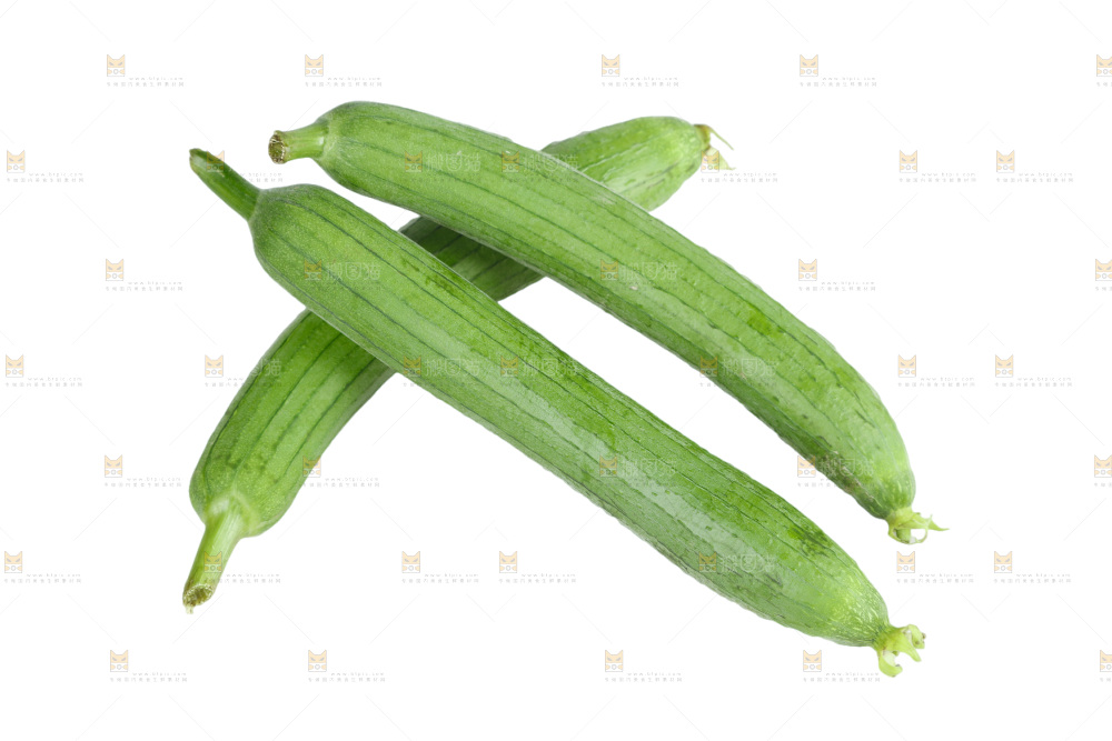 丝瓜
