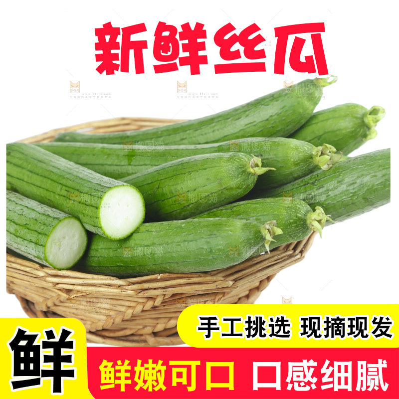 丝瓜