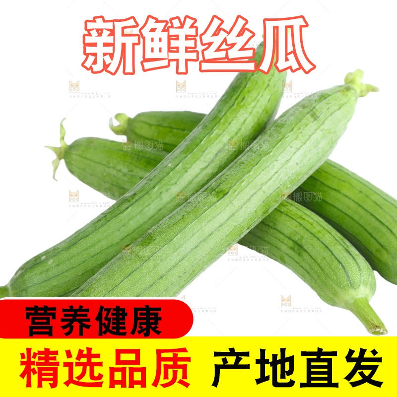 丝瓜
