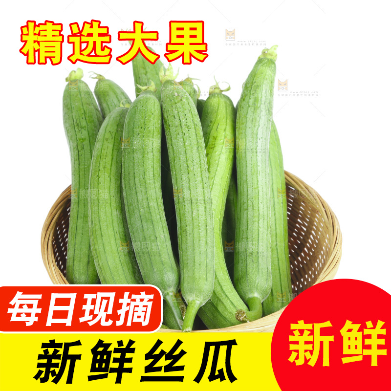 丝瓜