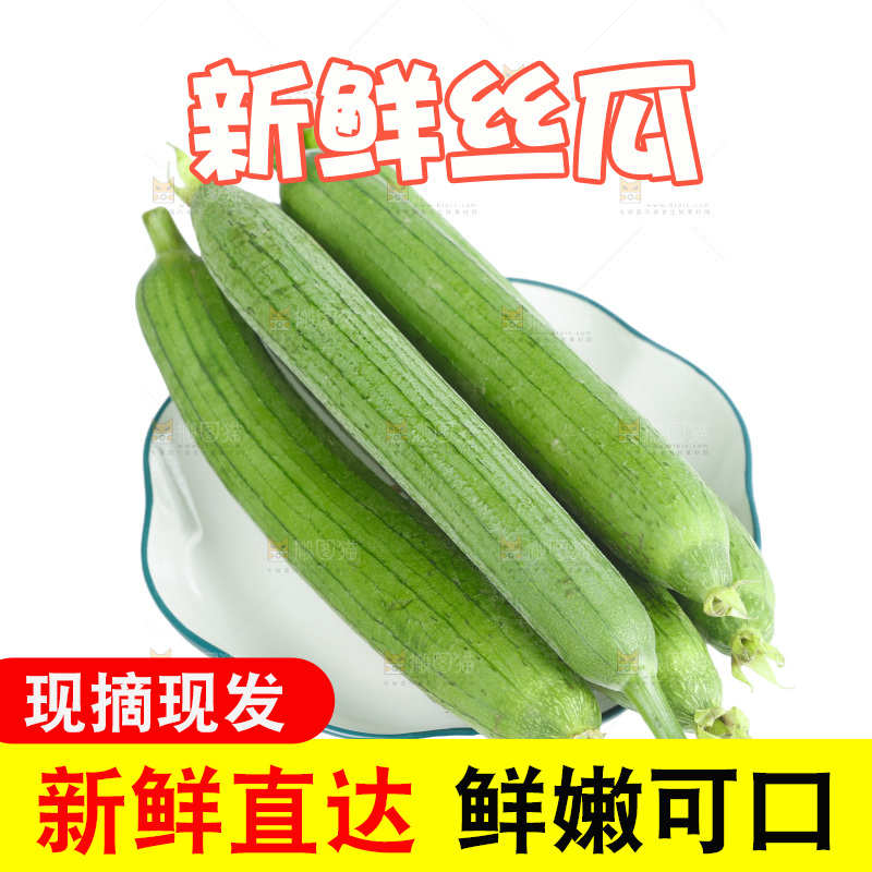 丝瓜