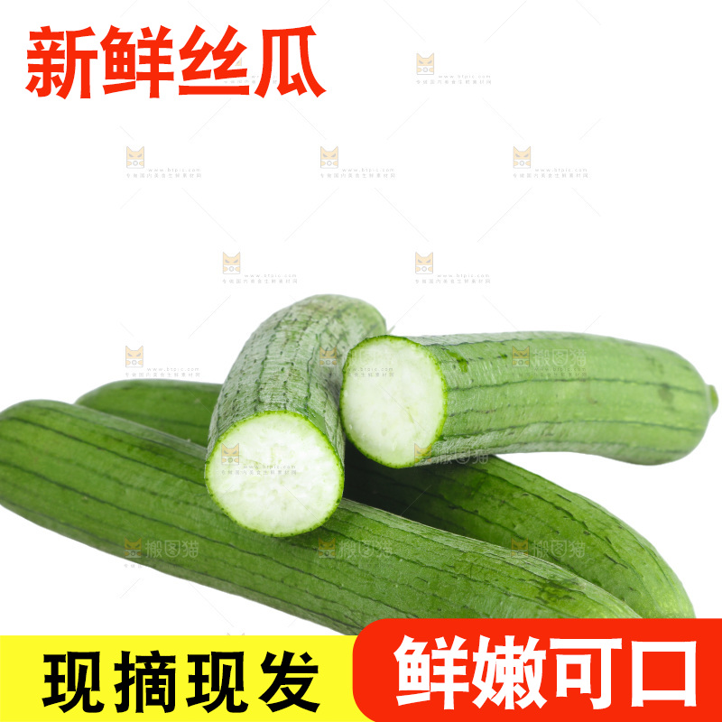 丝瓜