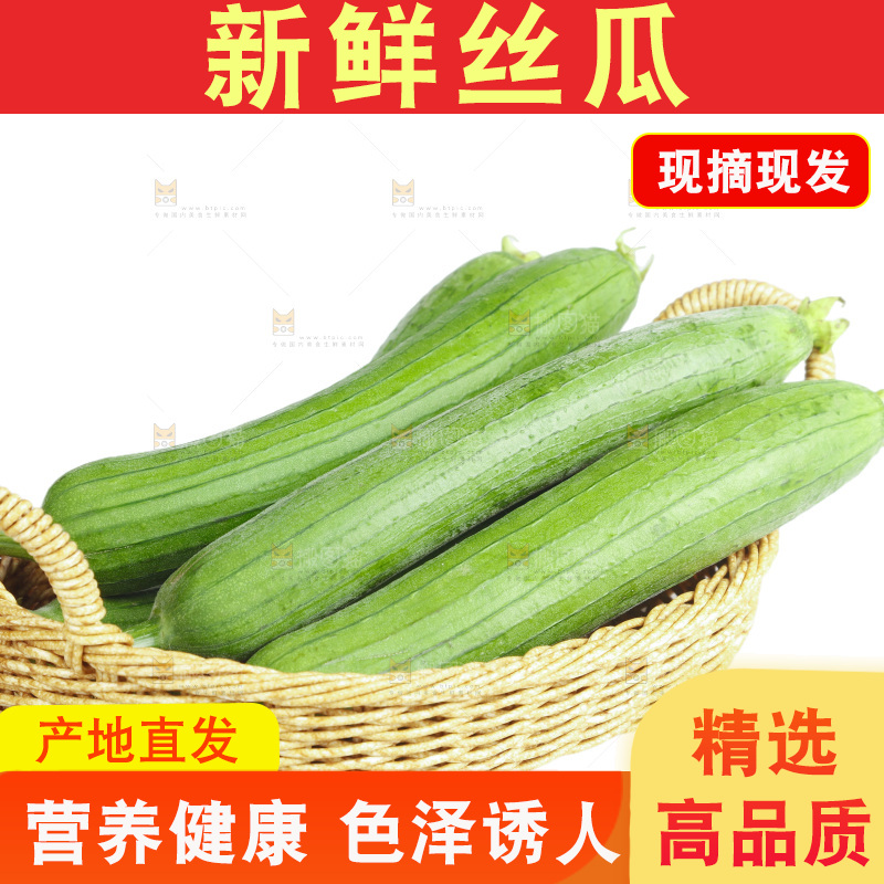 丝瓜