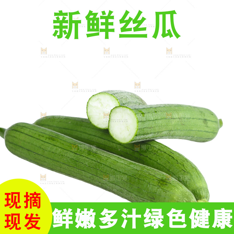 丝瓜