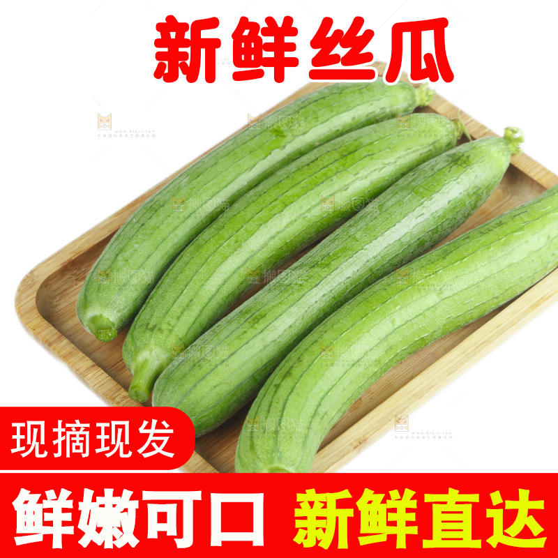 丝瓜