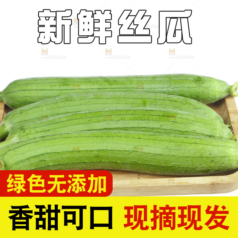丝瓜