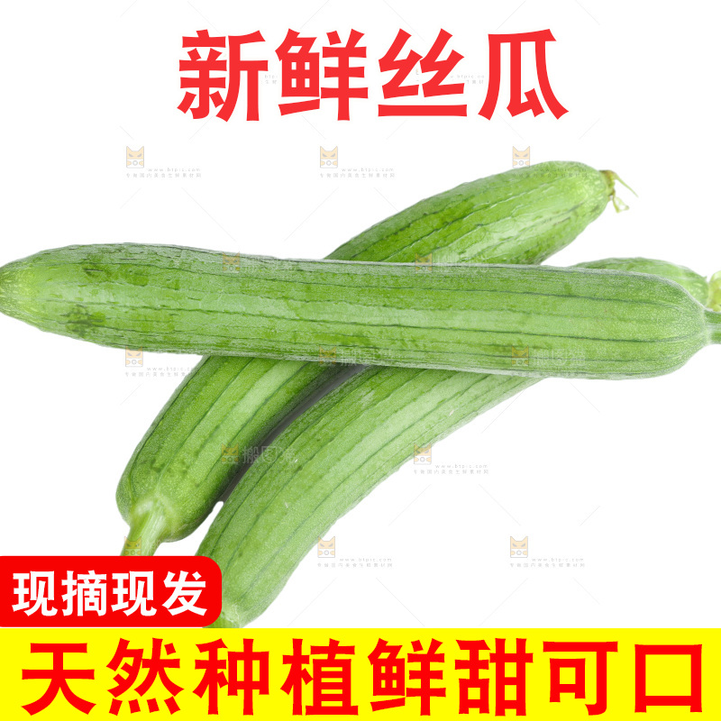丝瓜