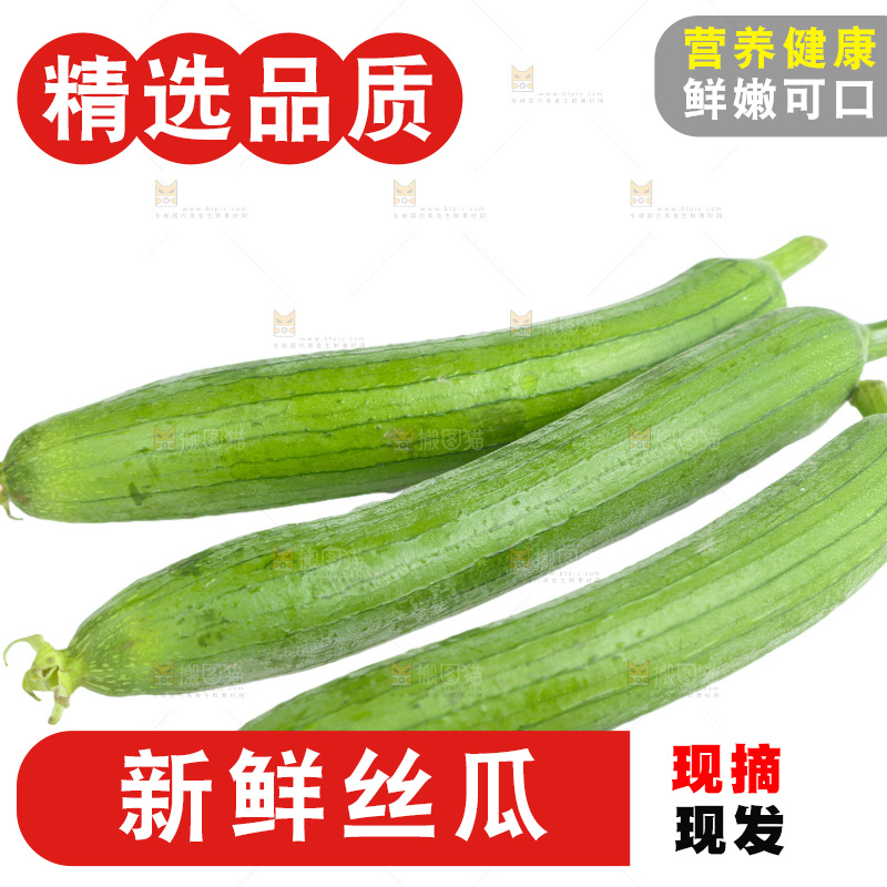 丝瓜