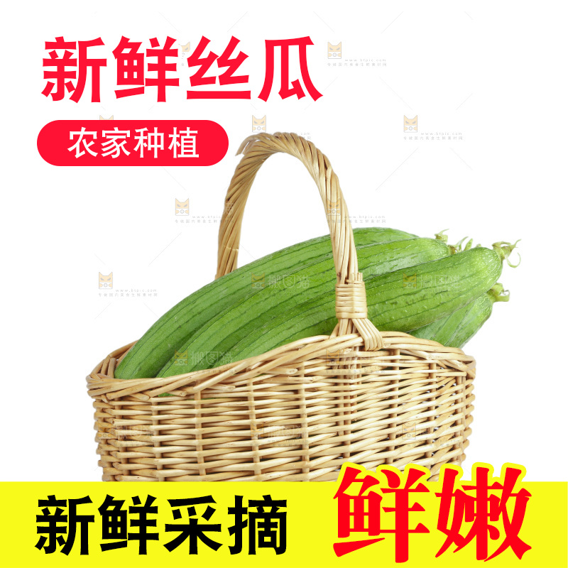 丝瓜