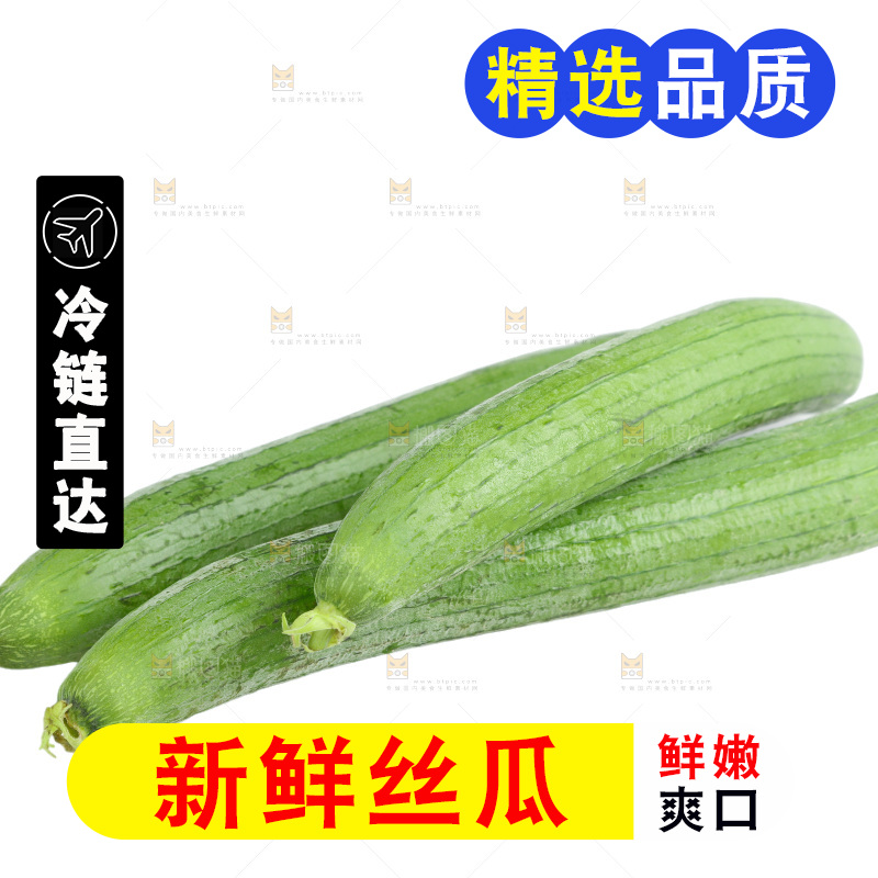 丝瓜