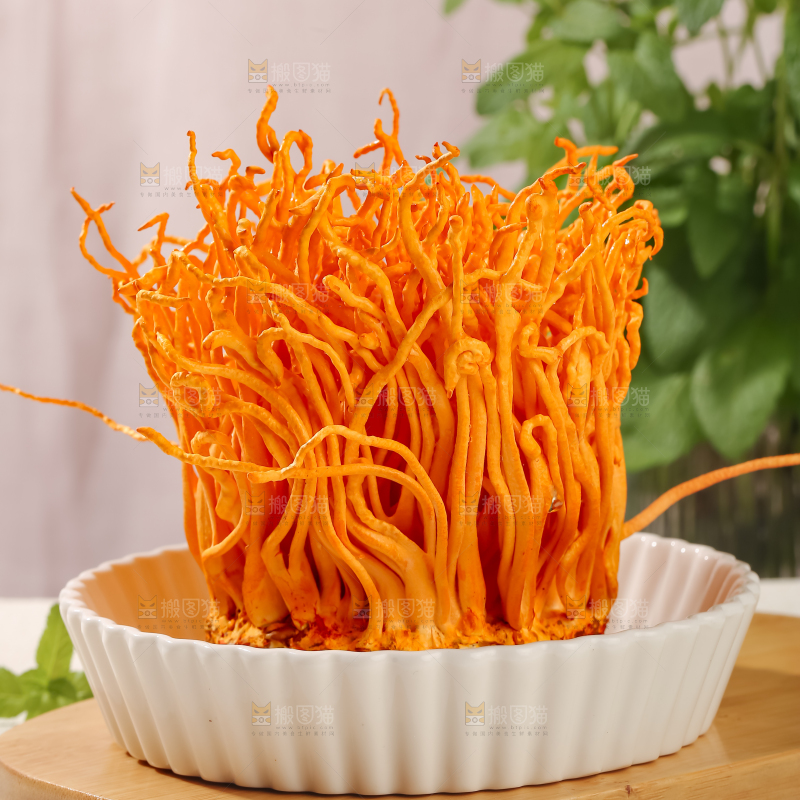 虫草花