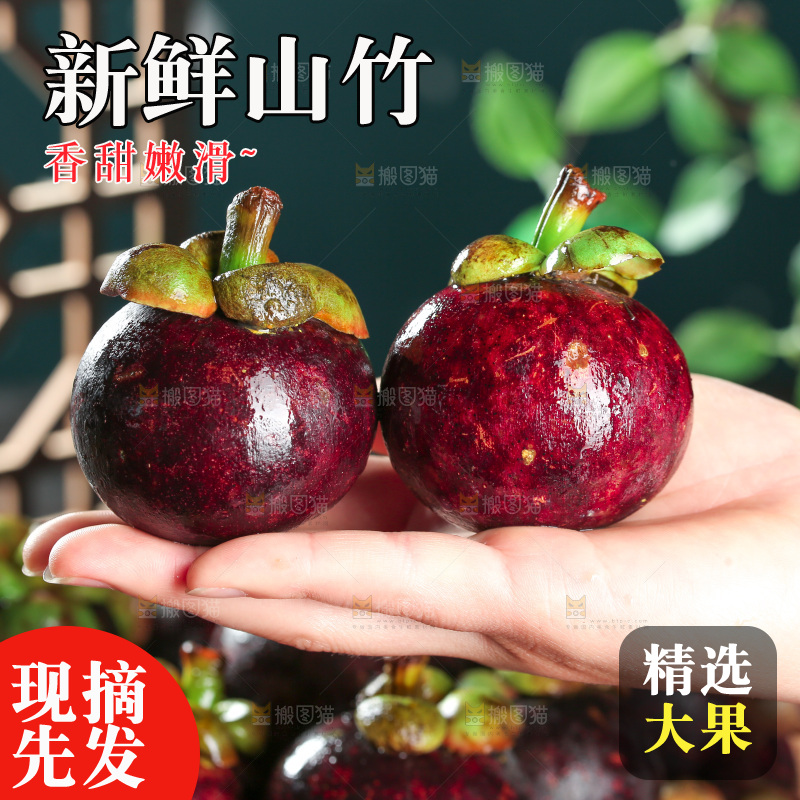 山竹