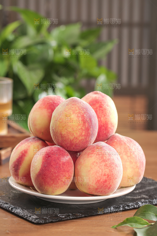 毛桃