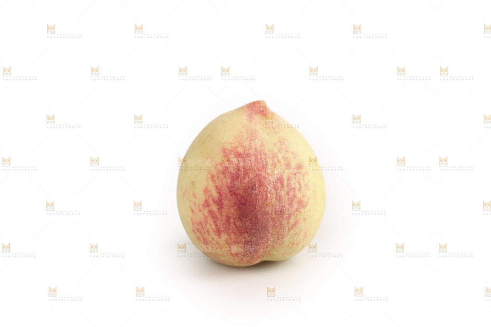 毛桃