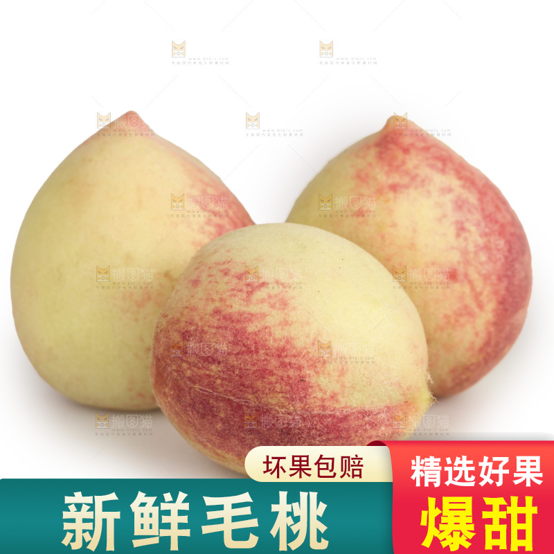 毛桃