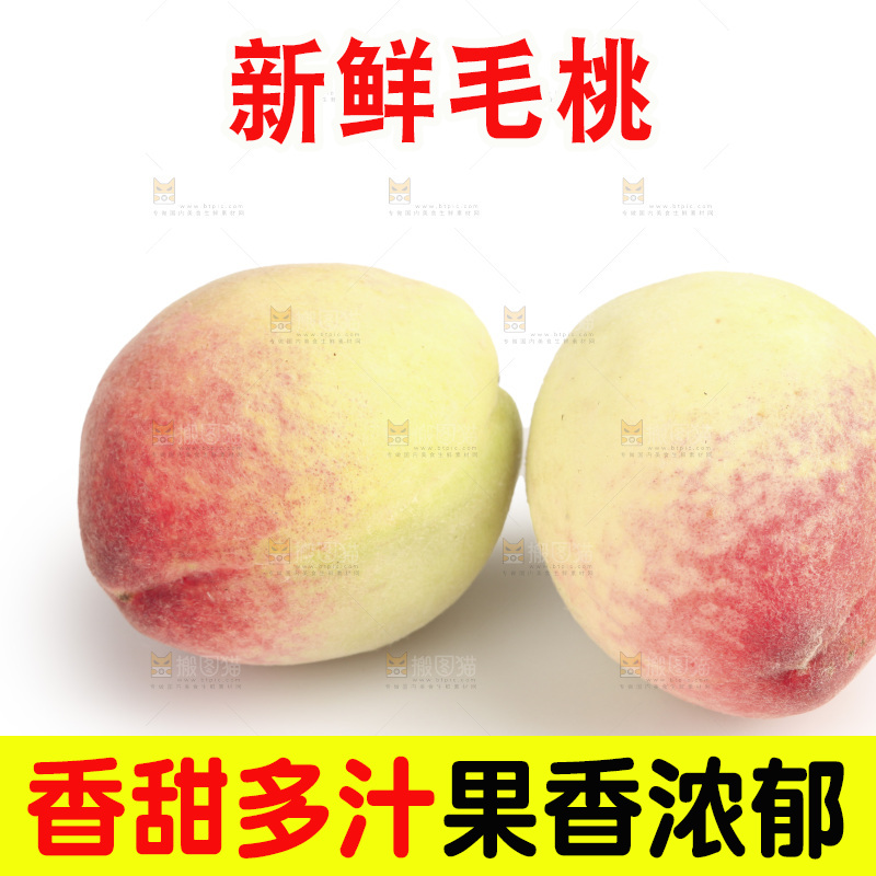 毛桃