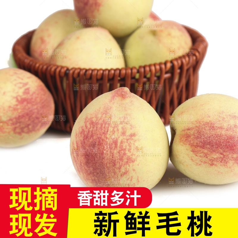 毛桃