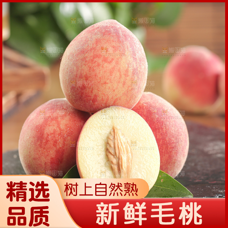 毛桃