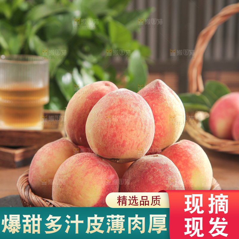 毛桃