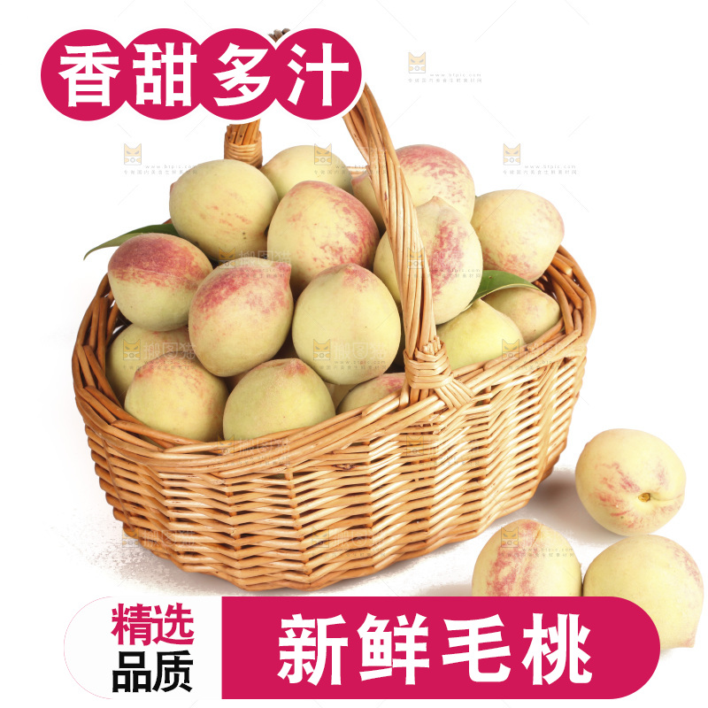 毛桃