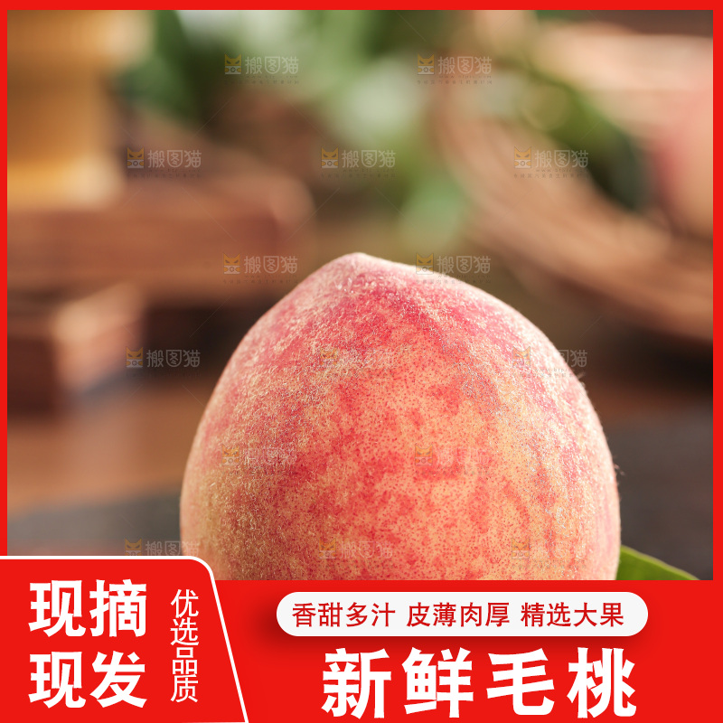 毛桃