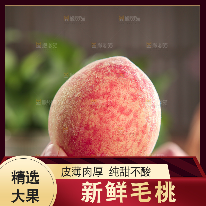 毛桃