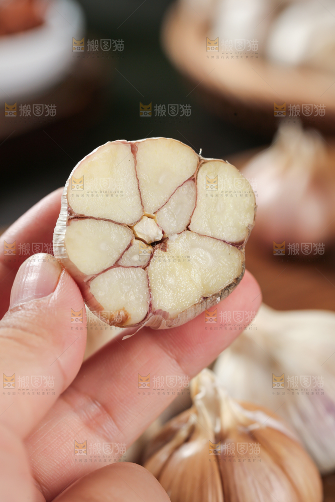 大蒜种