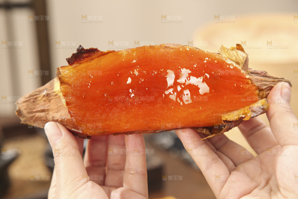 烟薯