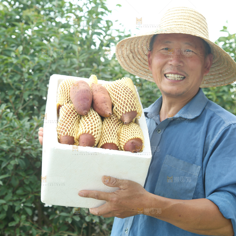 榴莲蜜薯