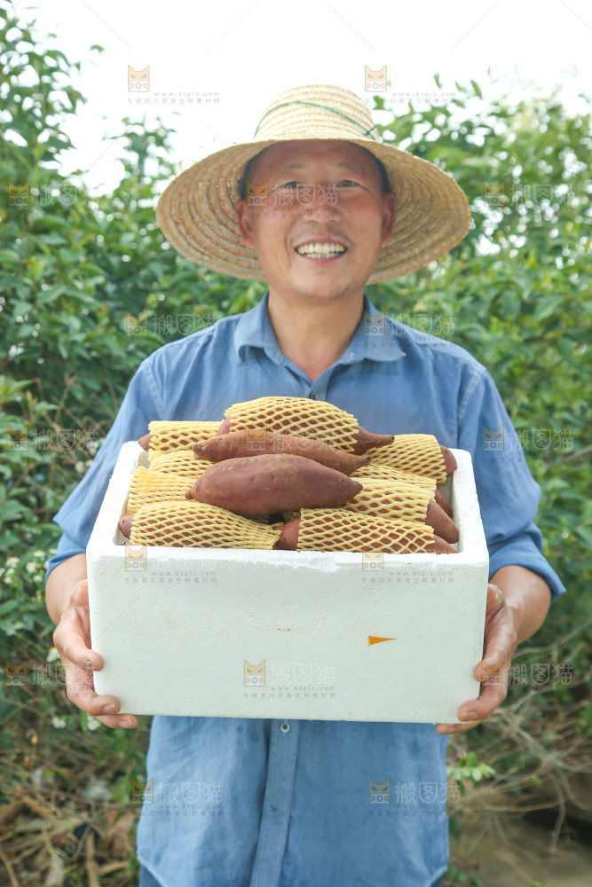 榴莲蜜薯