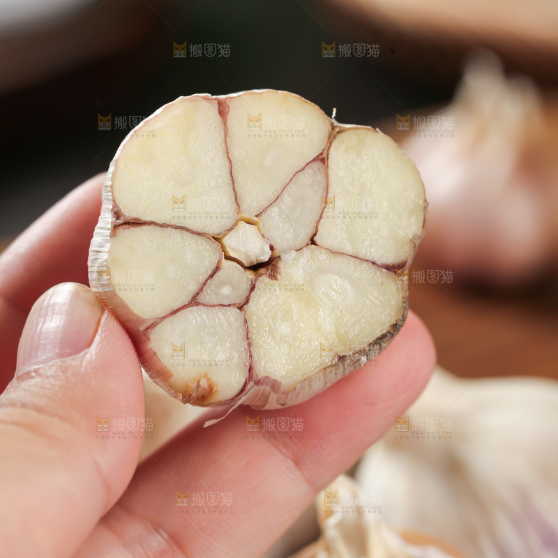 大蒜种