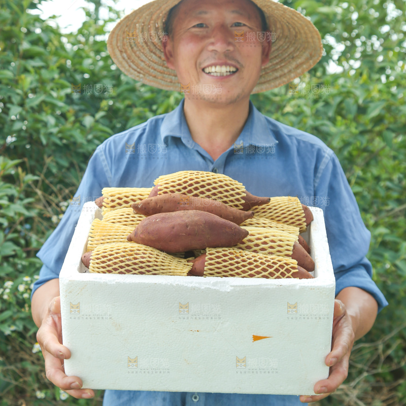 榴莲蜜薯