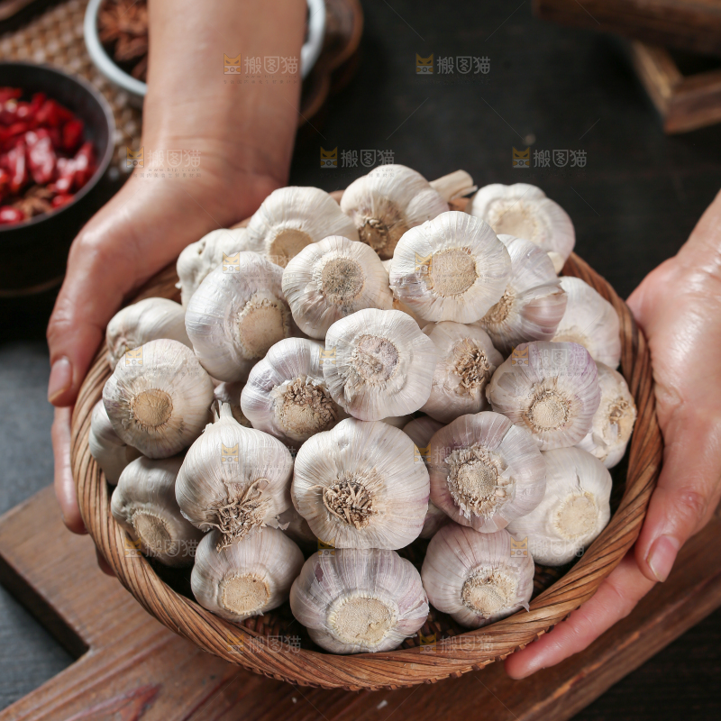 大蒜种