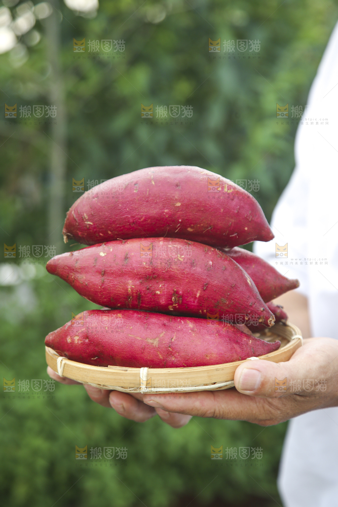 榴莲蜜薯
