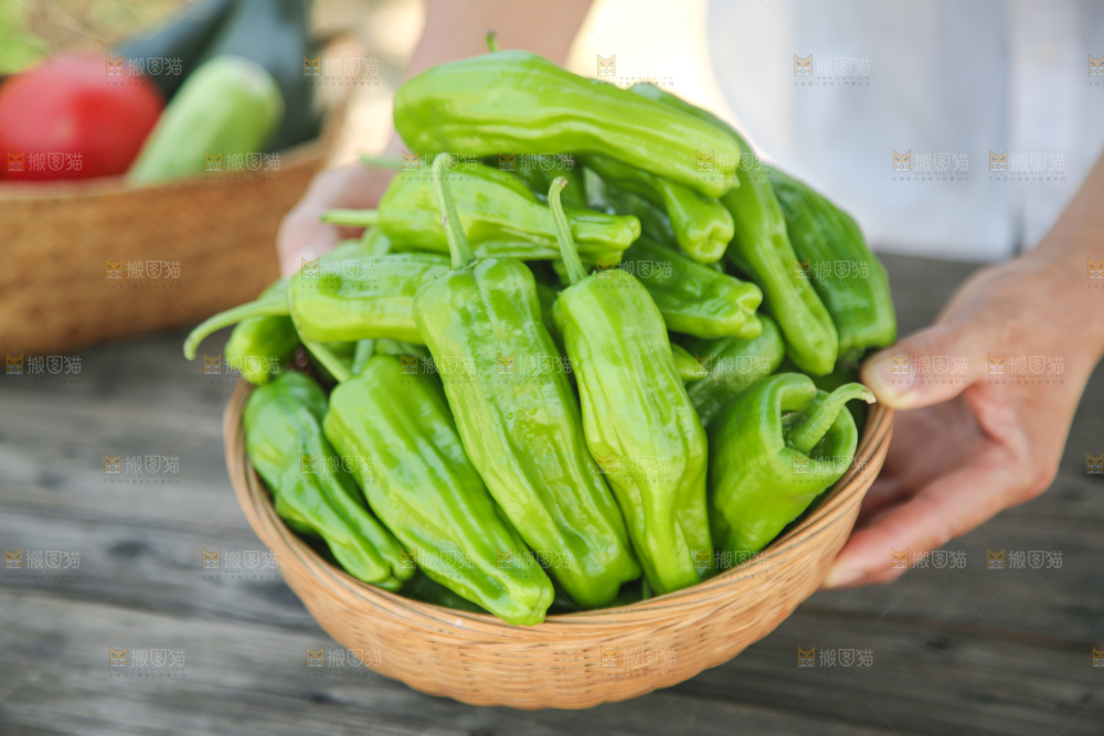 青椒