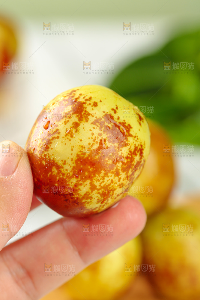 大荔冬枣