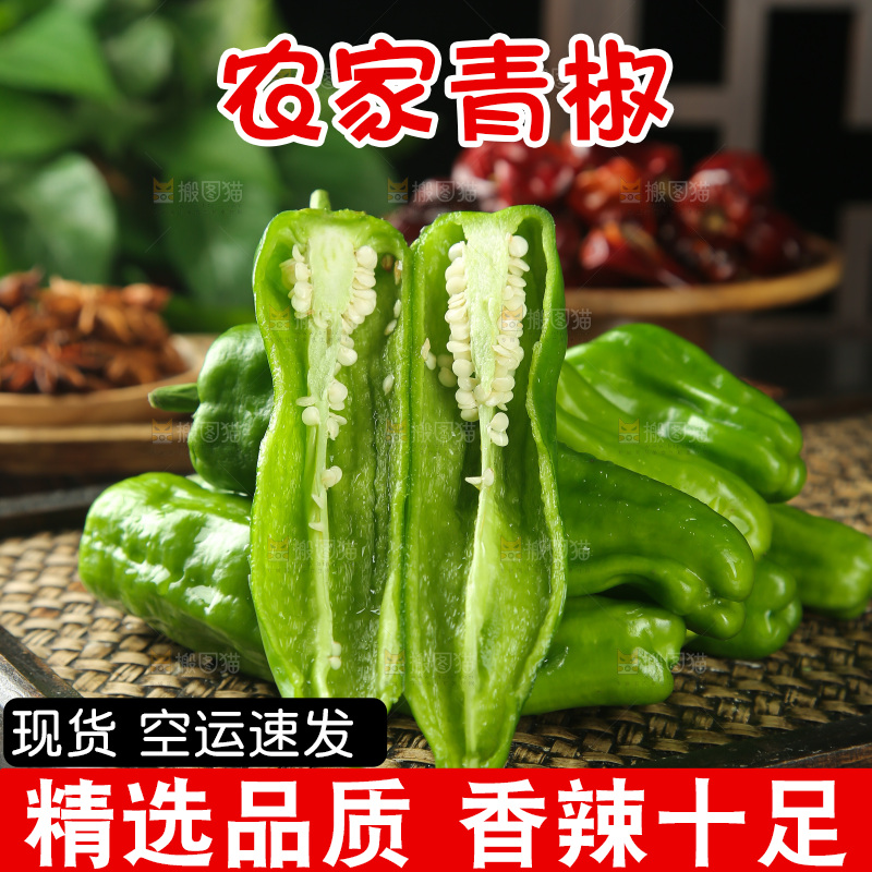 青椒