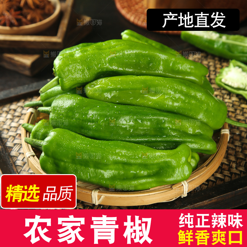 青椒