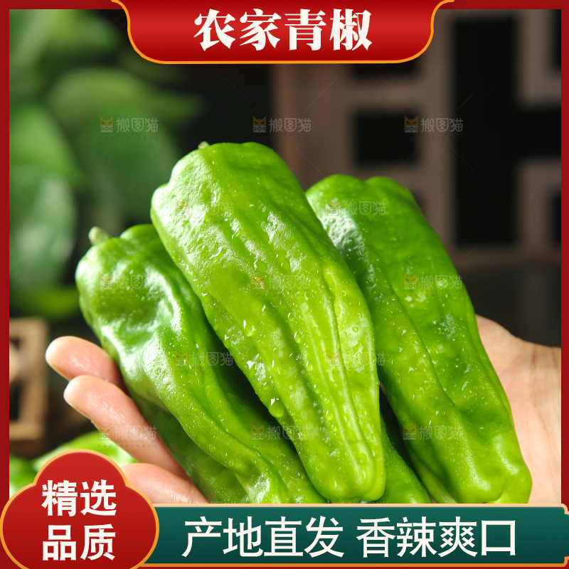 青椒