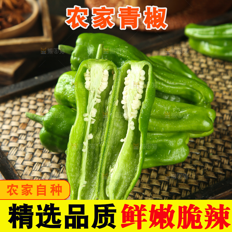 青椒