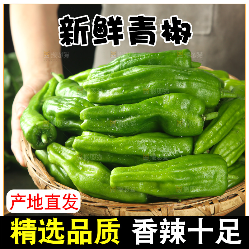 青椒