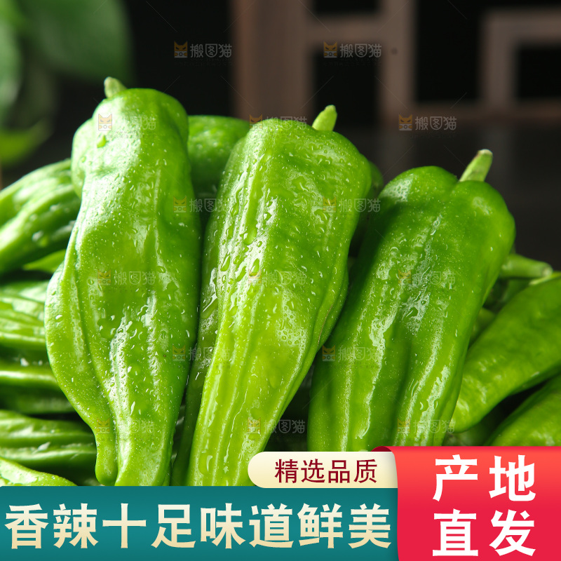 青椒