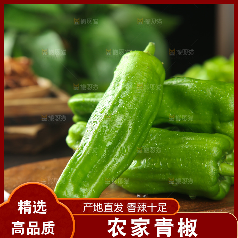 青椒