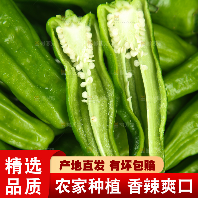 青椒