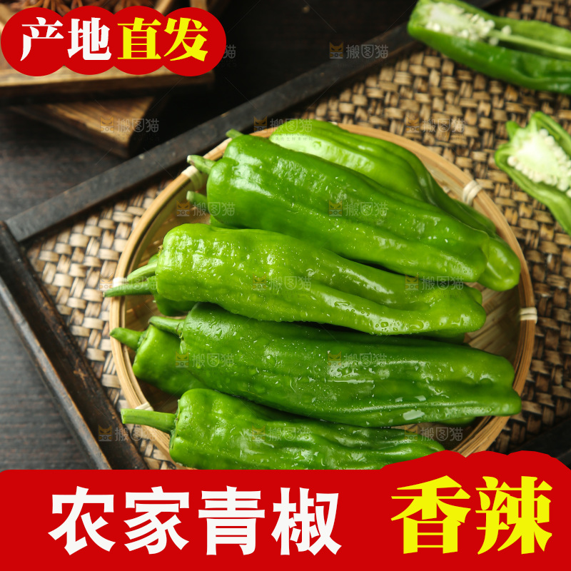 青椒