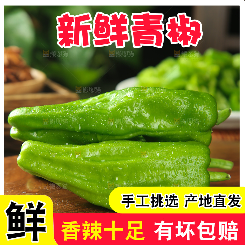 青椒
