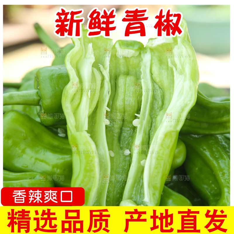 青椒