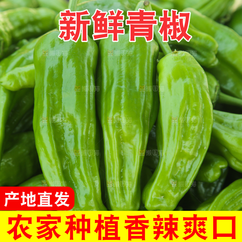 青椒